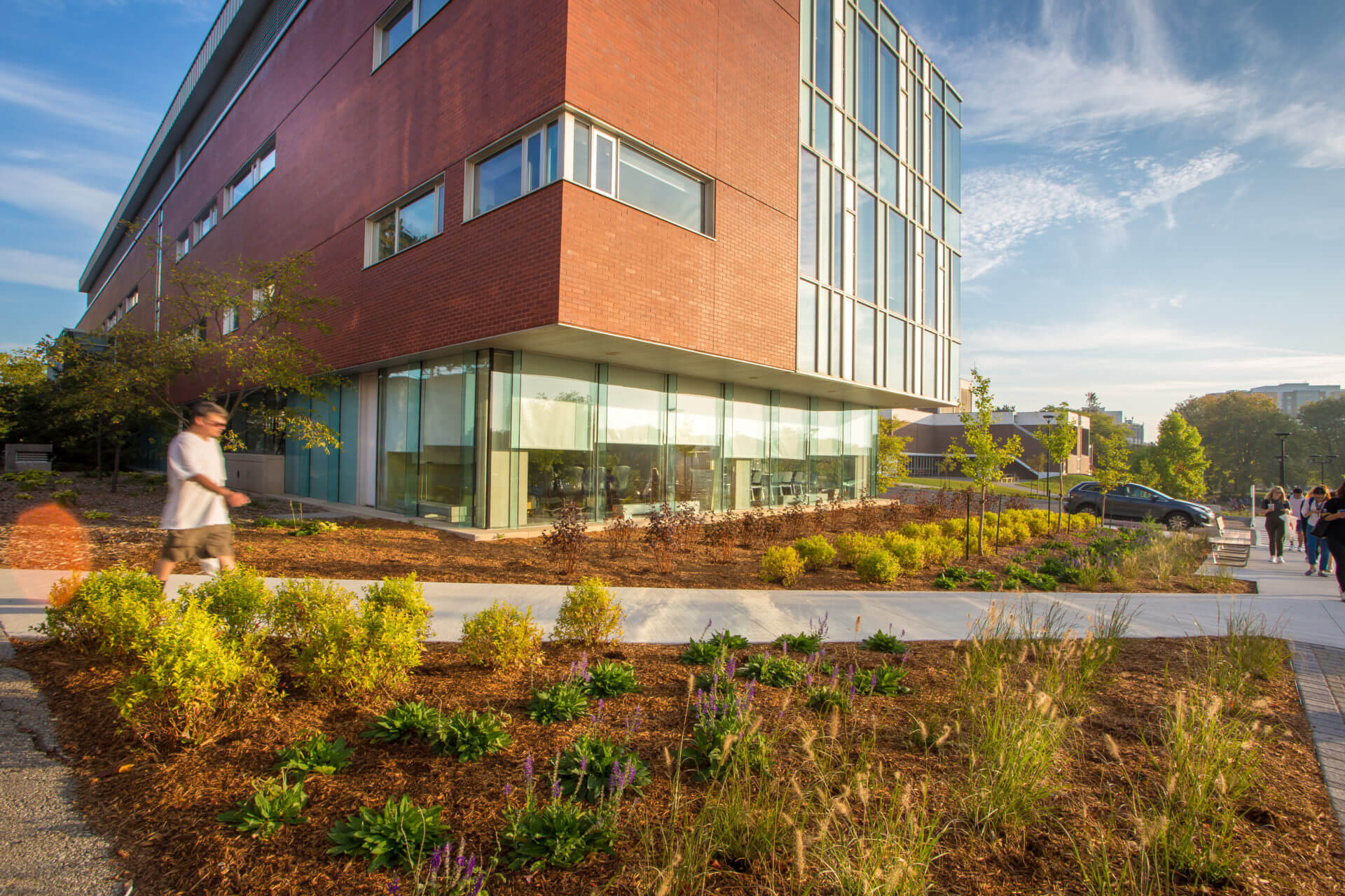 Landscape maintenance around a modern commercial property