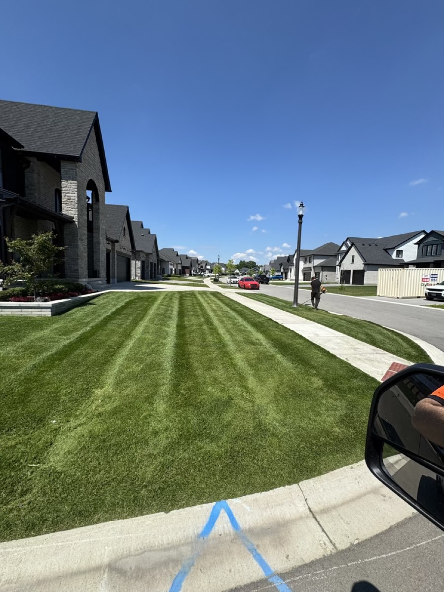 Striped lawn route beside a completed landscape