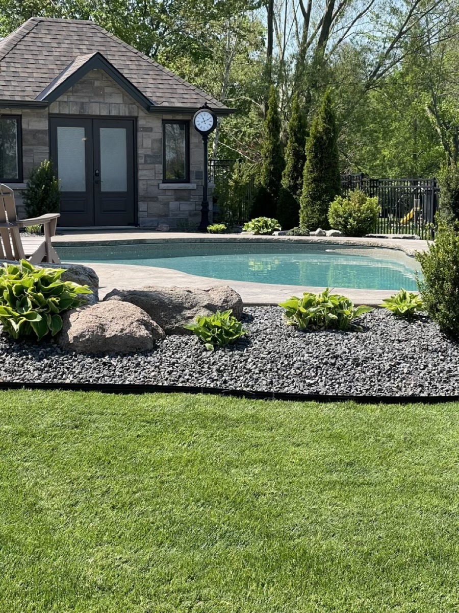 Finished pool garden with lawn, stone, and planting