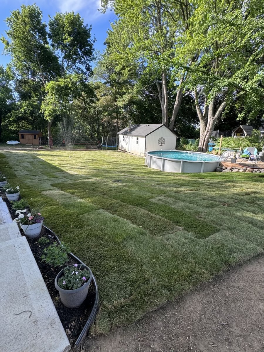 Fresh sod installation around a backyard pool