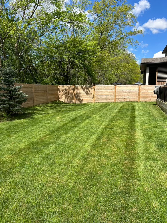 Professional property maintenance crew