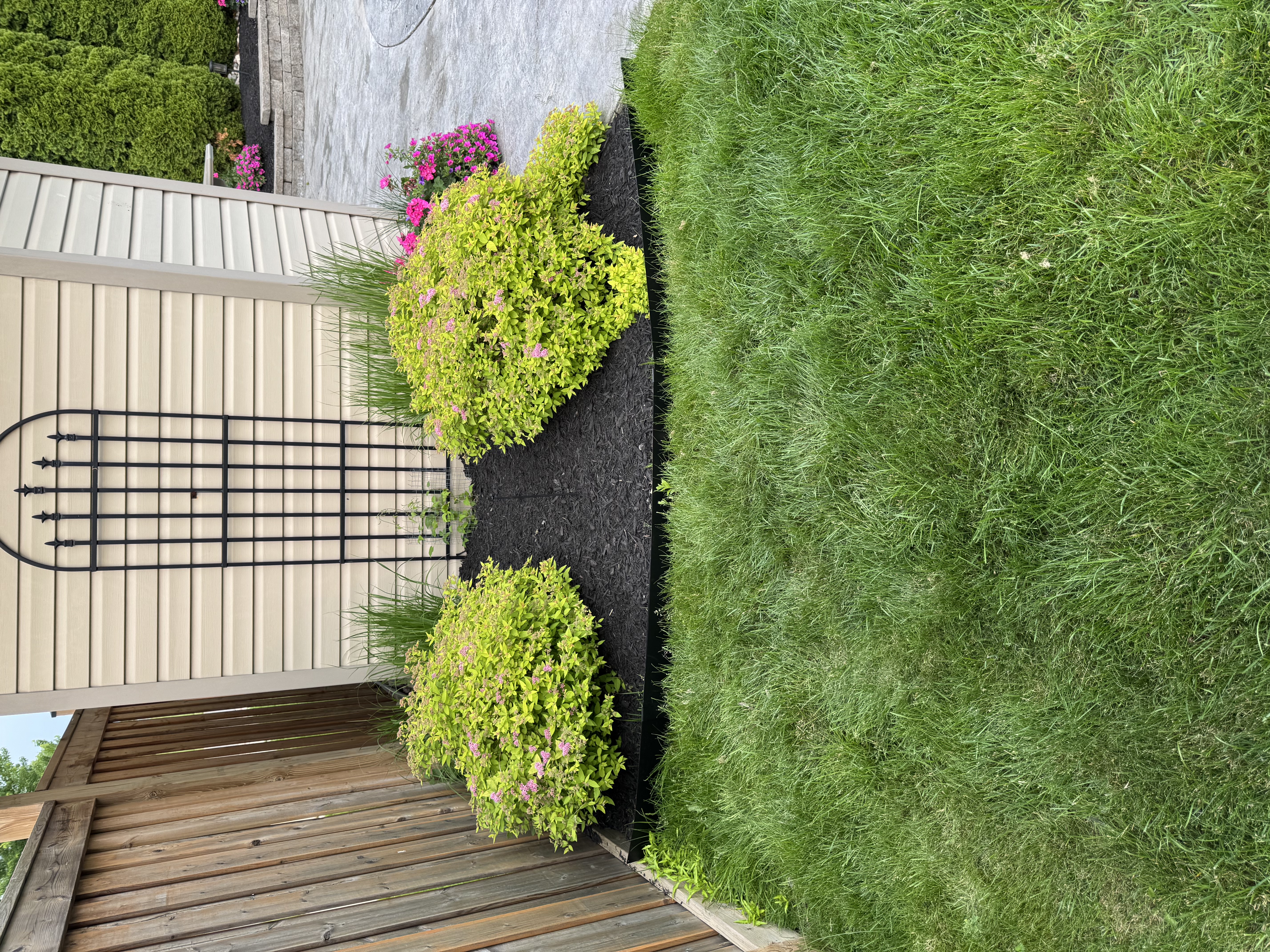 Beautiful landscape transformation