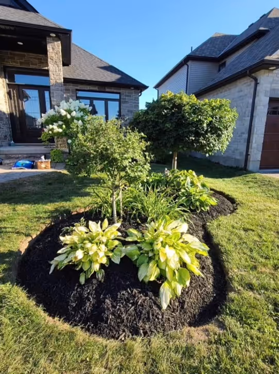 Landscaping design team in London Ontario