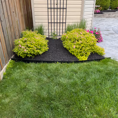 Beautiful landscape transformation